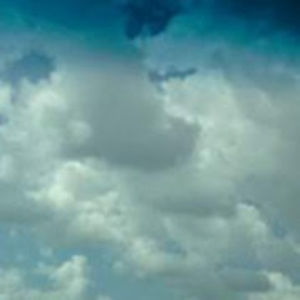 Meet your Posher, Pat